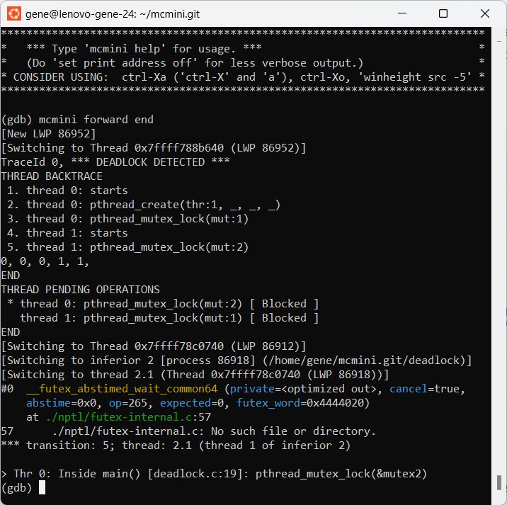 mcmini-gdb display